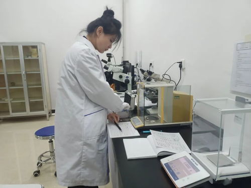 黑龍江省伊春市市場監(jiān)管局舉辦2023年世界計量日信息技術咨詢服務活動