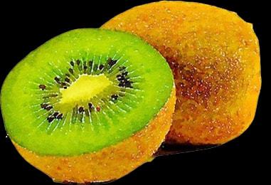 鮮果飄香長城鎮(zhèn)，獼猴桃采摘銷售正當(dāng)時